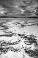 Seaweed - North Uist